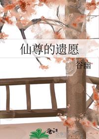 仙尊的遗愿